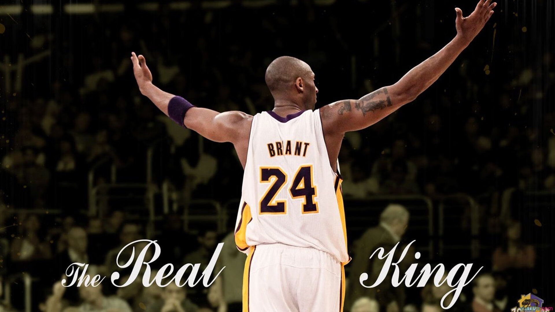 澳大利亚队赛场表现引爆现场气氛，澳大利亚队的比赛